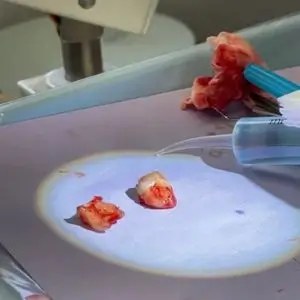 Samaritan-Dental-Arts-dental-los-angeles