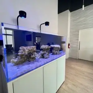 dentist-partners-Vision-Dental-Los-Angeles