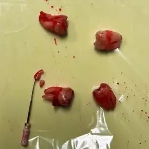 salud-dentist