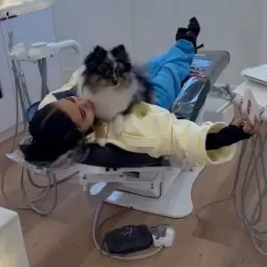beverly-hills-dentist-los-angeles